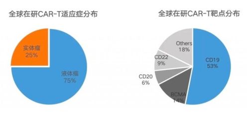 医学前沿 细胞治疗CAR T最新进展