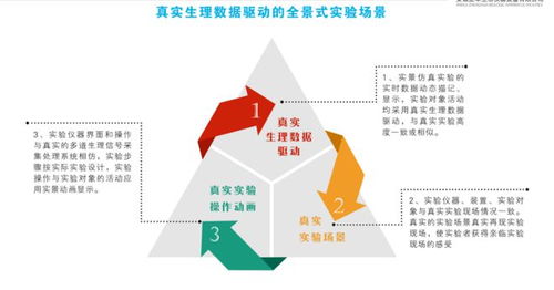 讲鼠解经 医学虚拟现实实验系统,推进医学实景虚拟教学大发展