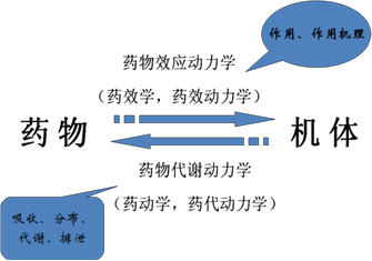 初级药师资格考试辅导 专业知识