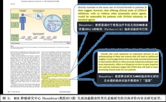 中国专家进行一系列恶性黑色素瘤转化研究实验 取得进展